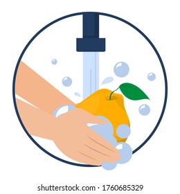 Hand washing quince vector isolated. Wash fruits and vegetables before eating concept. Healthy lifestyle tips. Clean fruit in water and soap.