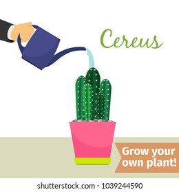 Hand with watering can pours cereus vector illustration for flower shop