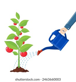 Hand watering money vegetable tree with can. Growth of plant, from sprout to vegetable. Planting tree. Seedling gardening plant. Timeline. Vector illustration in flat style