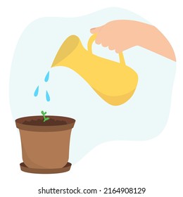Hand is watering sprout in pot. Jug with drops of water. Vector illustration of young plant.