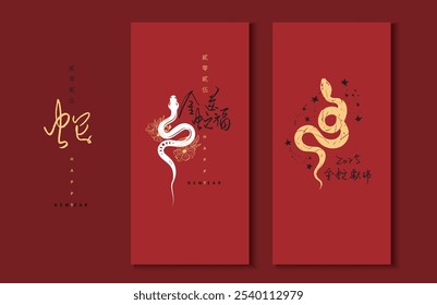 Hand Write Chinese calligraphy Art. Chinese calligraphy. Translation: 2025 Happy Snake New Year. Vector illustration. No.K