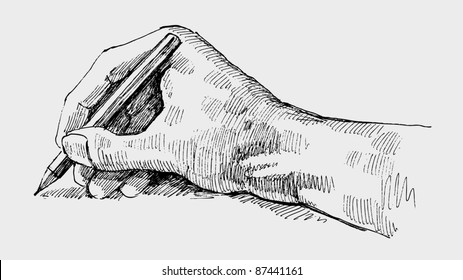 Hand Sketch Images Stock Photos Vectors Shutterstock