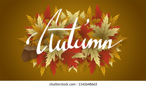 hand writing Autumn text  boder, Banner with leaves.holiday
