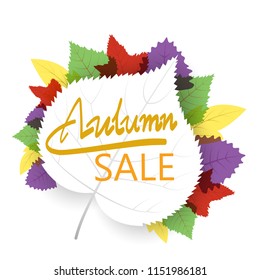 hand writing  Autumn text  boder, Banner Sale premium on white background