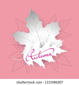 hand writing  Autumn text  boder, Banner Sale premium on pink background