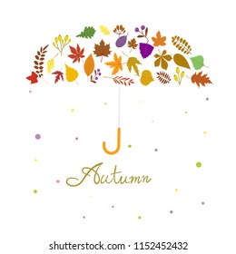 hand writing  Autumn text  boder, Banner umbrella premium on white background