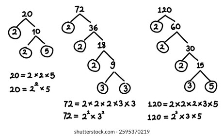 Hand writing illustrations about prime factorization in mathematics using factor tree method. Math equation. Least common multiple and greatest common factor.