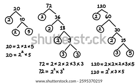 Hand writing illustrations about prime factorization in mathematics using factor tree method. Math equation. Least common multiple and greatest common factor.