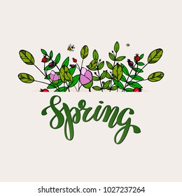 Hand writing word Spring. Brush lettering design. Vector illustratoin for give card, greeting card, banner, invitation, poster, flyer, calendar. EPS 10.