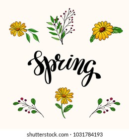 Hand writing word Spring. Brush lettering design. Vector illustratoin for give card, greeting card, banner, invitation, poster, flyer, calendar. EPS 10.