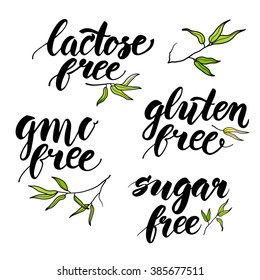 Hand written, brush calligraphy eco words, phrases - lactose, gmo, gluten, sugar free, vector illustration isolated on white background. Hand written eco words, phrases and bamboo leaves