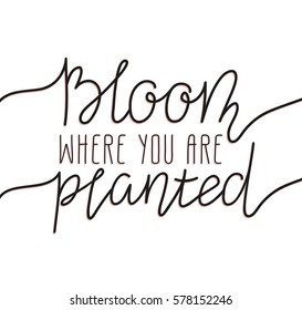 Hand written lettering - bloom where you are planted. Stylish illustration, modern and elegant home decor. Vector print design.