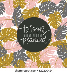 Hand written lettering - bloom where you are planted. Stylish illustration, modern and elegant home decor with exotic leaves. Vector print design.