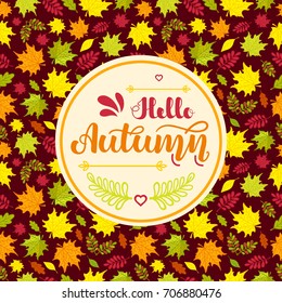 Hand written lettering "Hello Autumn" on seamless background with colorful autumn leaves. Vector illustration. EPS10.