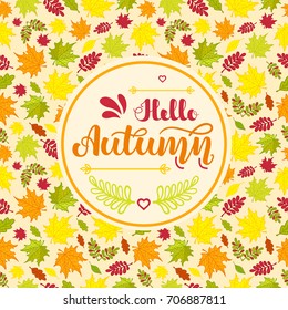 Hand written lettering "Hello Autumn" on seamless background with colorful autumn leaves. Vector illustration. EPS10.