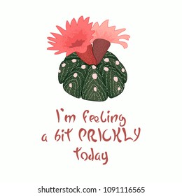 Hand written lettering Message slogan I'm feeling a bit prickly today with blooming cactus image. Pinlk red flower. Perfect for cards, posters, banners, invitations, greeting cards, prints.