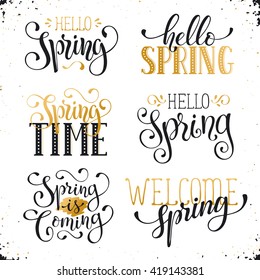 Hand written Spring time phrases in white and gold. Greeting card text templates on blackboard. Hello Spring lettering in modern calligraphy style. Spring wording.