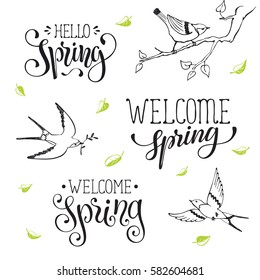 Hand written Spring time phrases with birds. Greeting card text templates isolated on white background. Welcome Spring lettering in modern calligraphy style. Hello Spring wording.