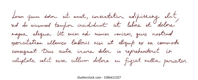 Hand written text - latin note Lorem ipsum, aged style. Vector ink letter. Calligraphy, handwritten typography