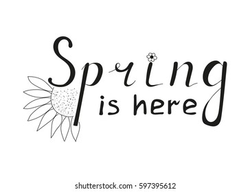 Hand written words Spring is here and flower. Lettering for Easter. Hand drawing spring card. Vector illustration for Spring.