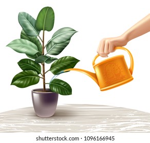 Hand with yellow watering can during irrigation of ficus standing on light table realistic vector illustration 