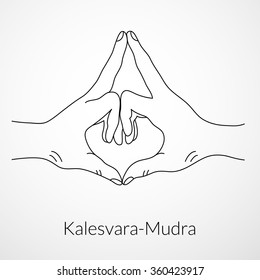 Hand in yoga mudra (Kalesvara-Mudra). Vector illustration. Yogic hand gesture.