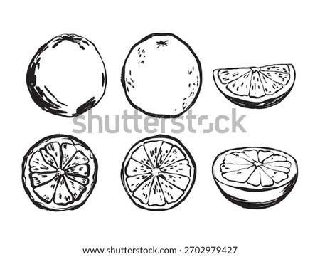 Handcrafted black and white citrus segment and rind artwork