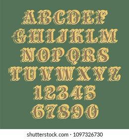 Handcrafted Vector Font Vintage and Modern Collection 
