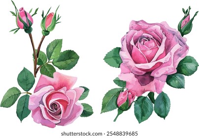 Handcrafted Watercolor Pink Rose Flower Clipart