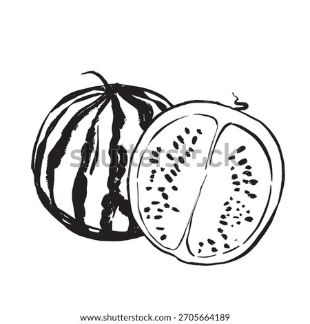 Handcrafted watermelon illustration capturing picnic and beach essence