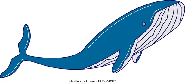 handdraw cartoon blue whale illustration
