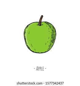 Hand-draw isolated apple. Vector cartoon illustration.