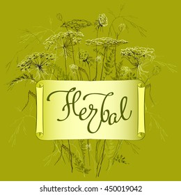 Hand-draw label template with wild flowers and herbs. Herbal lettering calligraphy card. Design for herbal cosmetics, natural and organic product store, package. Vector illustration stock vector.