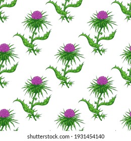 
Handziehbares Milchdistel nahtloses Muster. Farbige, gravierte Pflanzen auf weißem Hintergrund. Vektor Vintage Design.
