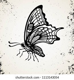 Hand-draw of monarch butterfly on a paper backround. Vector illustration. Place for your text