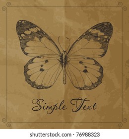 Hand-draw of  monarch butterfly on a paper ackround. Vector illustration. Place for your text