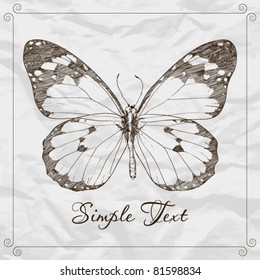 Hand-draw of monarch butterfly on a paper backround. Vector illustration. Place for your text