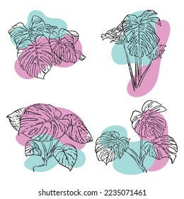 Conjunto de hojas de monstera tropicales dibujadas a mano. Planta exótica - Monstera Deliciosa. Contornos negros aislados en un fondo blanco. Ilustración vectorial para tarjetas, volantes, pegatinas, textiles, diseño web.