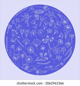 Hand-draw vector illustration for your design. Ornament with decorative leaves.                             .