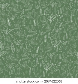 Hand-draw vector illustration for your design. Seamless pattern with leaves.