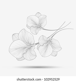 Hand-drawing abstract floral background. Vector flower amaryllis. Element for design.