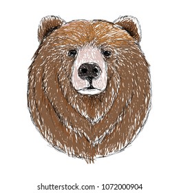 Hand-drawing animal head vector logo icon illustration
