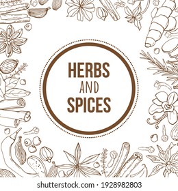 Hand-drawing background with organic and natural sketch herbs and spices.