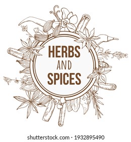 Hand-drawing background with organic and natural sketch herbs and spices.	