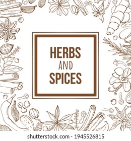 Hand-drawing background with organic and natural sketch herbs and spices.	