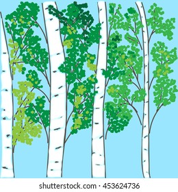 hand-drawing the birch grove on a blue background