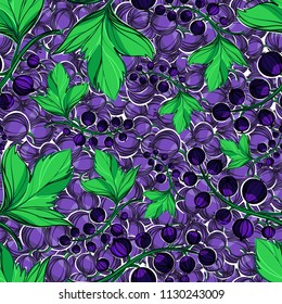 Hand-drawing botanical seamless pattern with currants with leaves. Vector illustration. Use for textile print, wrapping paper, packaging design food, jam, juice, ice cream, cosmetics.