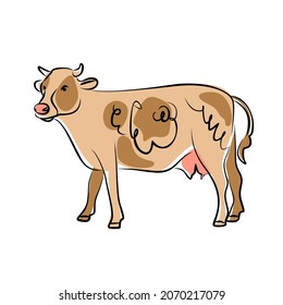 Hand-drawing cow. Cute cow. Vector illustration