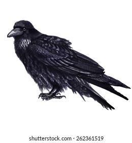 Hand-drawing dark raven