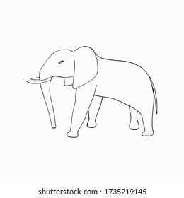 hand-drawing elephant on white background
